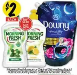 NQR Morning Fresh Dishwashing Liquid offer