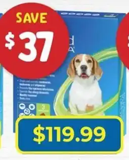 PetO Field & Stream Flea & Tick Treatment offer