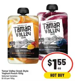 IGA Tamar Valley Greek Style Yoghurt Pouch offer