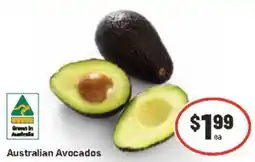 CORNETTS Australian Avocados offer