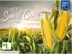 Foodland Aussie Sweet Corn offer