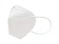 Wesdar KN95 Non-medical Disposable Earloop Folding Mask