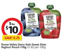 Coles Tamar Valley Dairy Kids Greek Style Yoghurt Pouch offer