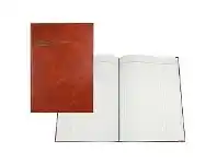 Officeworks Collins Debden 3880 A4 Account Book Day Book offer