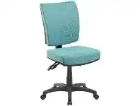 Officeworks Pago Flash II Deluxe Heavy Duty Ergonomic Chair Aqua offer