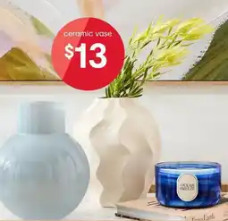 Kmart ceramic vase offer