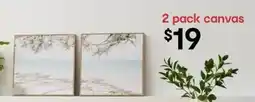 Kmart 2 pack canvas offer