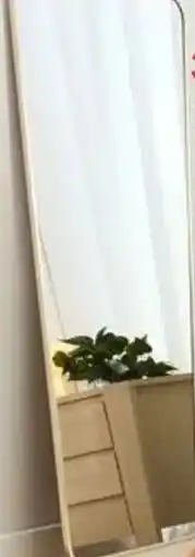 Kmart floor mirror offer