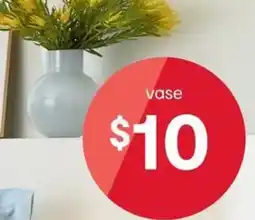 Kmart vase offer