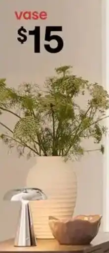 Kmart vase offer