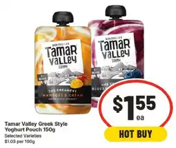 IGA Tamar Valley Greek Style Yoghurt Pouch offer