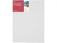 Officeworks Born Canvas Board 12 x 16" offer