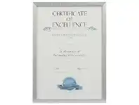 Officeworks Lifestyle Brands A3 Certificate Frame Brushed Silver offer