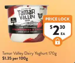 Foodworks Tamar Valley Dairy Yoghurt offer