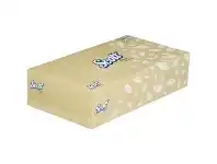 Scott 2 Ply Facial Tissues 100 Sheet