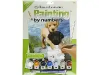 Officeworks Royal & Langnickel Painting By Numbers Junior Fishing Buddies offer