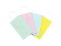Gift Packaging & Accessories Small Paper Carry Bags 20 Pack Pastels