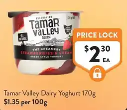 Foodworks Tamar Valley Dairy Yoghurt offer