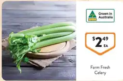 Foodworks Farm Fresh Celery offer