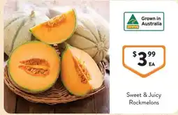 Foodworks Sweet & Juicy Rockmelons offer