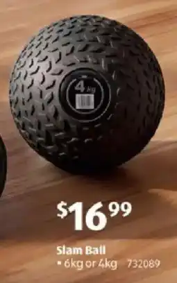 ALDI Slam Ball offer