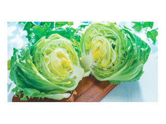 Foodworks Crisp iceberg lettuce offer