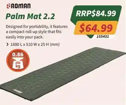 Tentworld Roman Palm Mat 2.2 offer