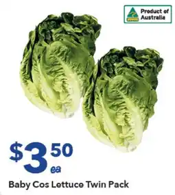 Ritchies Baby Cos Lettuce Twin Pack offer