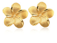 Grahams Jewellers 9ct Yellow Gold Flower Stud Earrings offer