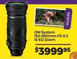 Teds Cameras OM System 150-600mm F5-6.3 IS ED Zoom offer
