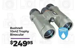 Teds Cameras Bushnell 10x42 Trophy Binocular offer
