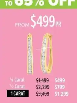 Shiels Earrings offer
