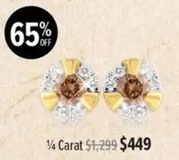 Shiels Earrings offer