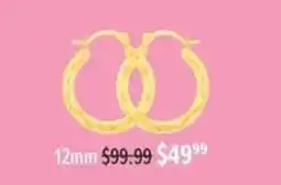 Shiels Hoop Earrings offer