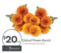 IGA Disbud Flower Bunch offer