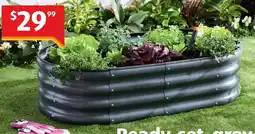 ALDI Garden Bed offer