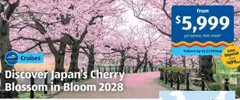 ALDI Discover Japan's Cherry Blossom in Bloom 2028 offer