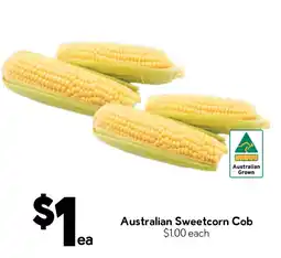 Drakes Australian Sweetcorn Cob offer