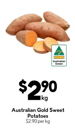 Drakes Australian Gold Sweet Potatoes offer