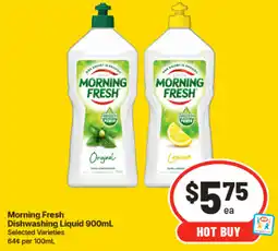 IGA Morning Fresh Dishwashing Liquid offer