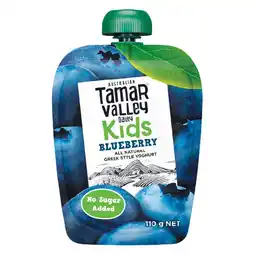 Woolworths Tamar Valley Kids Yoghurt Pouch offer