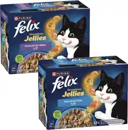 Coles Felix Cat Food offer
