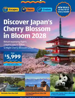 ALDI Discover Japan's Cherry Blossom in Bloom 2028 offer