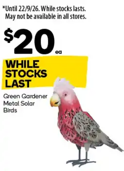 Woolworths Green Gardener Metal Solar Birds offer