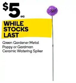 Woolworths Green Gardener Metal Poppy or Gardman Ceramic Watering Spiker offer