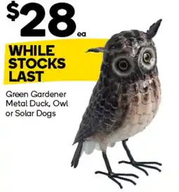 Woolworths Green Gardener Metal Duck, Owl or Solar Dogs offer