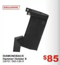 Total Tools Diamondback Hammer Holster X offer