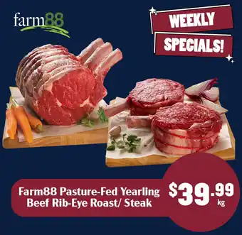Farm88 Pasture-Fed Yearling Beef Rib-Eye Roast/ Steak
