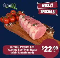 Tasman Butchers Farm88 Pasture-Fed Yearling Beef Mini Roast offer