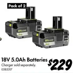 Bunnings Ryobi 18V Lithium Batteries offer